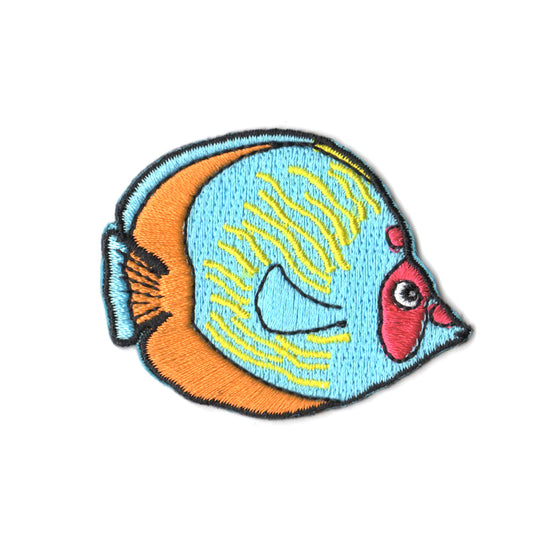 Butterfly Fish
