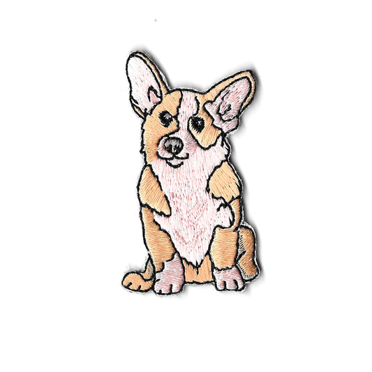 Collie the Corgi