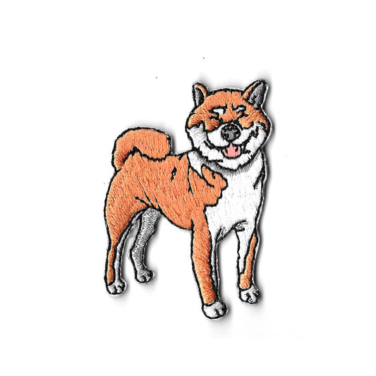Haru the Shiba