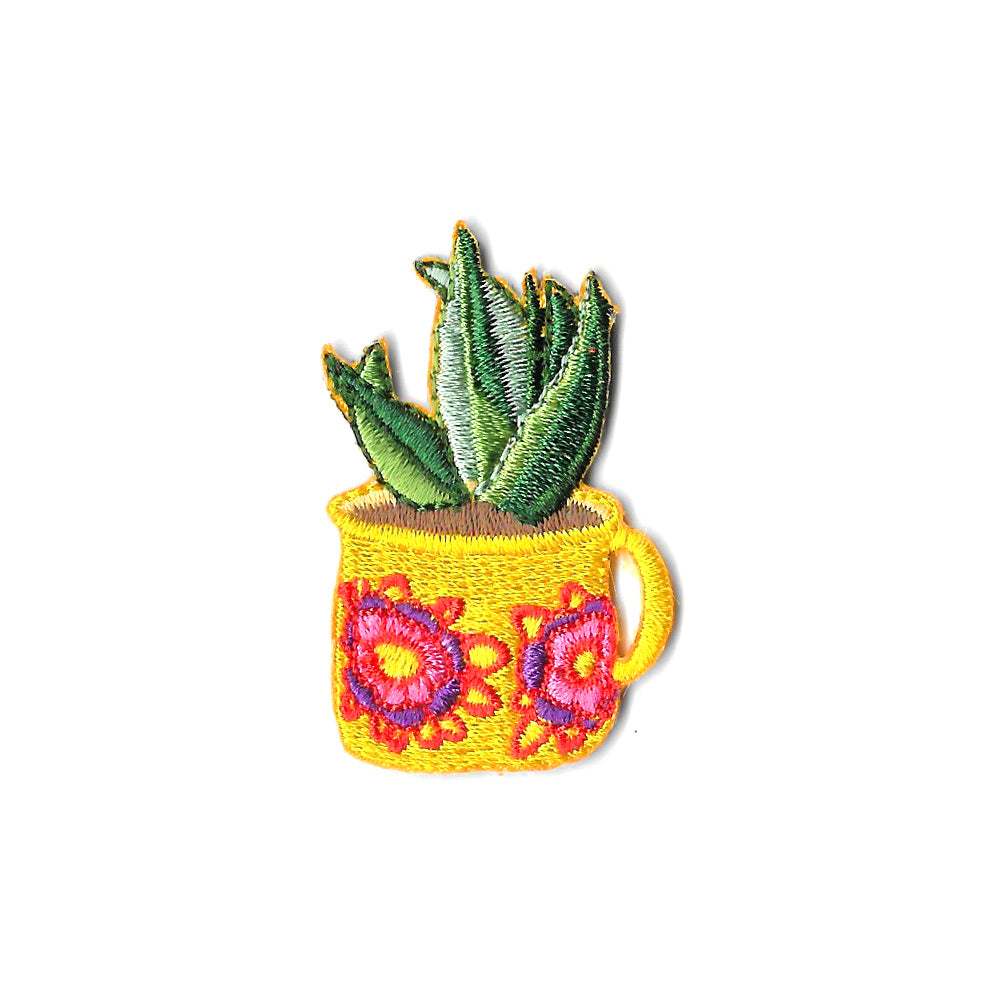 Cactus in a Cup